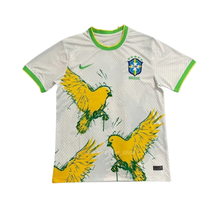 CBF BRASIL x WINGS